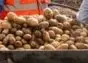 Lire la suite à propos de l’article Vendredi des patates